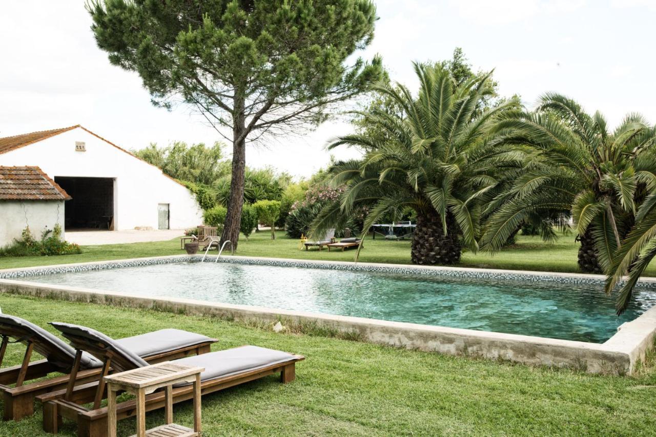 Mas De Bouvet En Camargue Bed & Breakfast Albaron Dış mekan fotoğraf