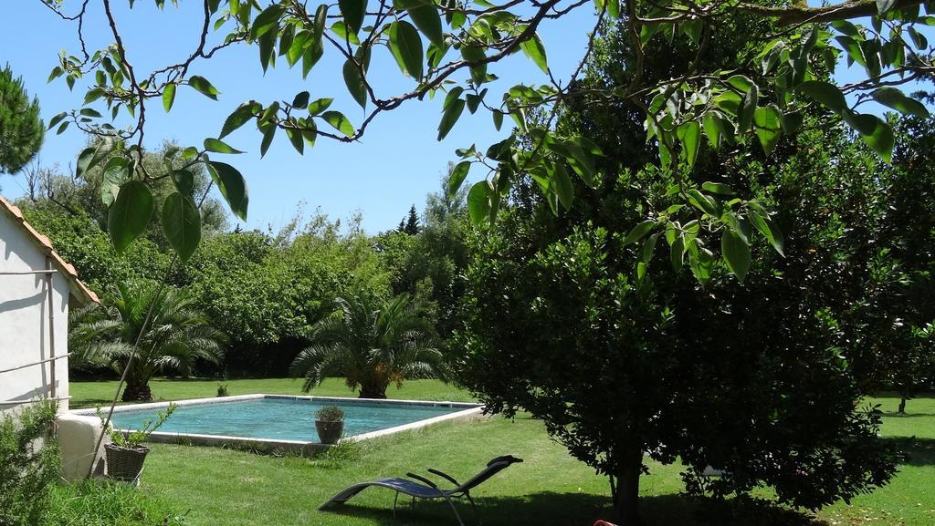 Mas De Bouvet En Camargue Bed & Breakfast Albaron Dış mekan fotoğraf