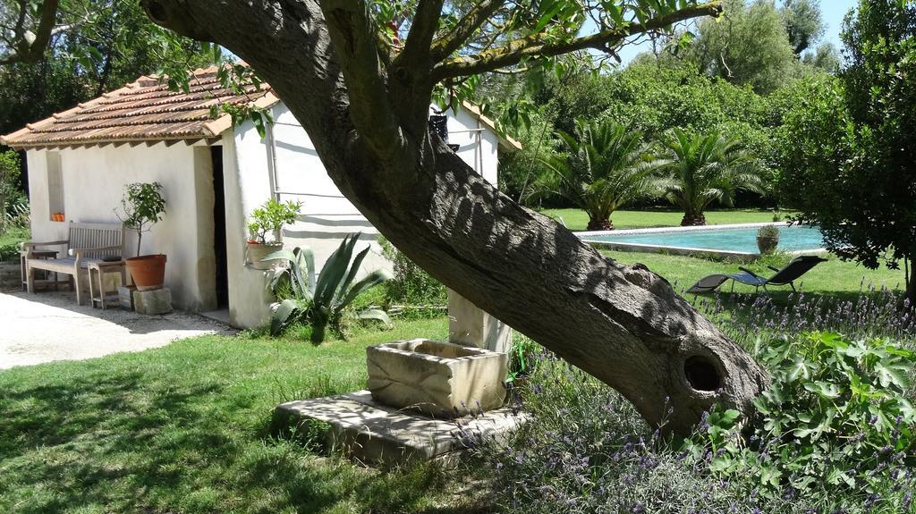 Mas De Bouvet En Camargue Bed & Breakfast Albaron Dış mekan fotoğraf