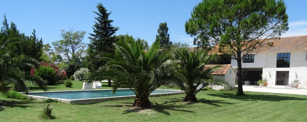 Mas De Bouvet En Camargue Bed & Breakfast Albaron Dış mekan fotoğraf