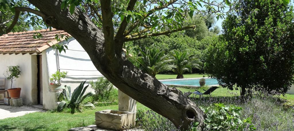 Mas De Bouvet En Camargue Bed & Breakfast Albaron Dış mekan fotoğraf