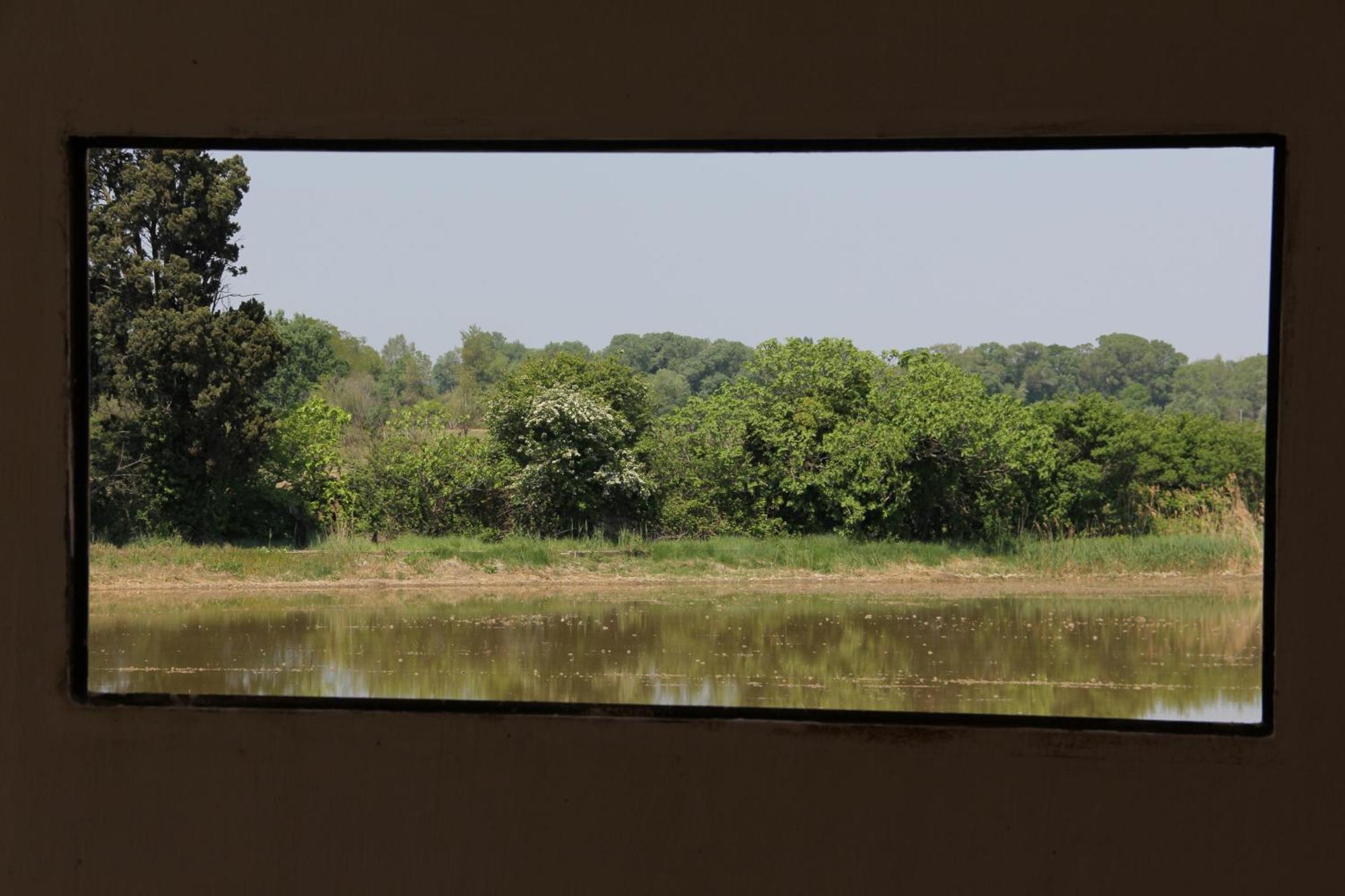 Mas De Bouvet En Camargue Bed & Breakfast Albaron Dış mekan fotoğraf