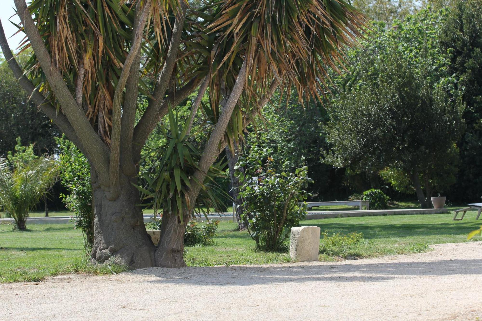 Mas De Bouvet En Camargue Bed & Breakfast Albaron Dış mekan fotoğraf